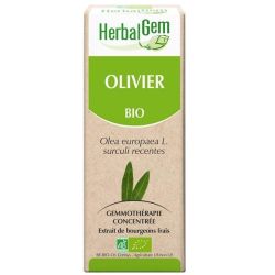 Olivier Macérat concentré de bourgeons Bio HerbalGem -&