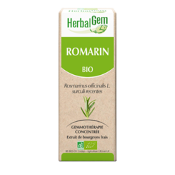 Romarin Macérat de bourgeons Bio HerbalGem - Flacon de&