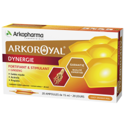 Arkoroyal Dynergie Fortifiant & Stimulant Arkopharma - 20