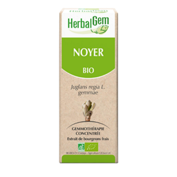 Noyer Macérat de bourgeons Bio HerbalGem - Flacon de 30 mL