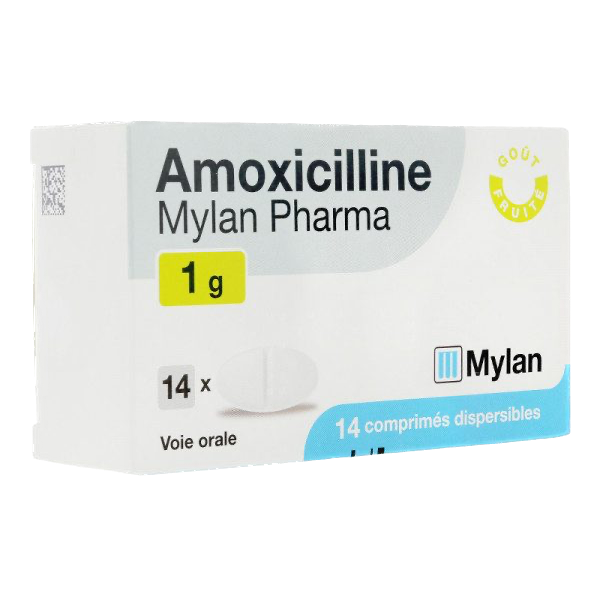 AMOXICILLINE MYLAN 1 g comprimés dispersibles B/14